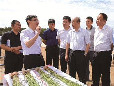 付兴国生物质绿色能源的探路者